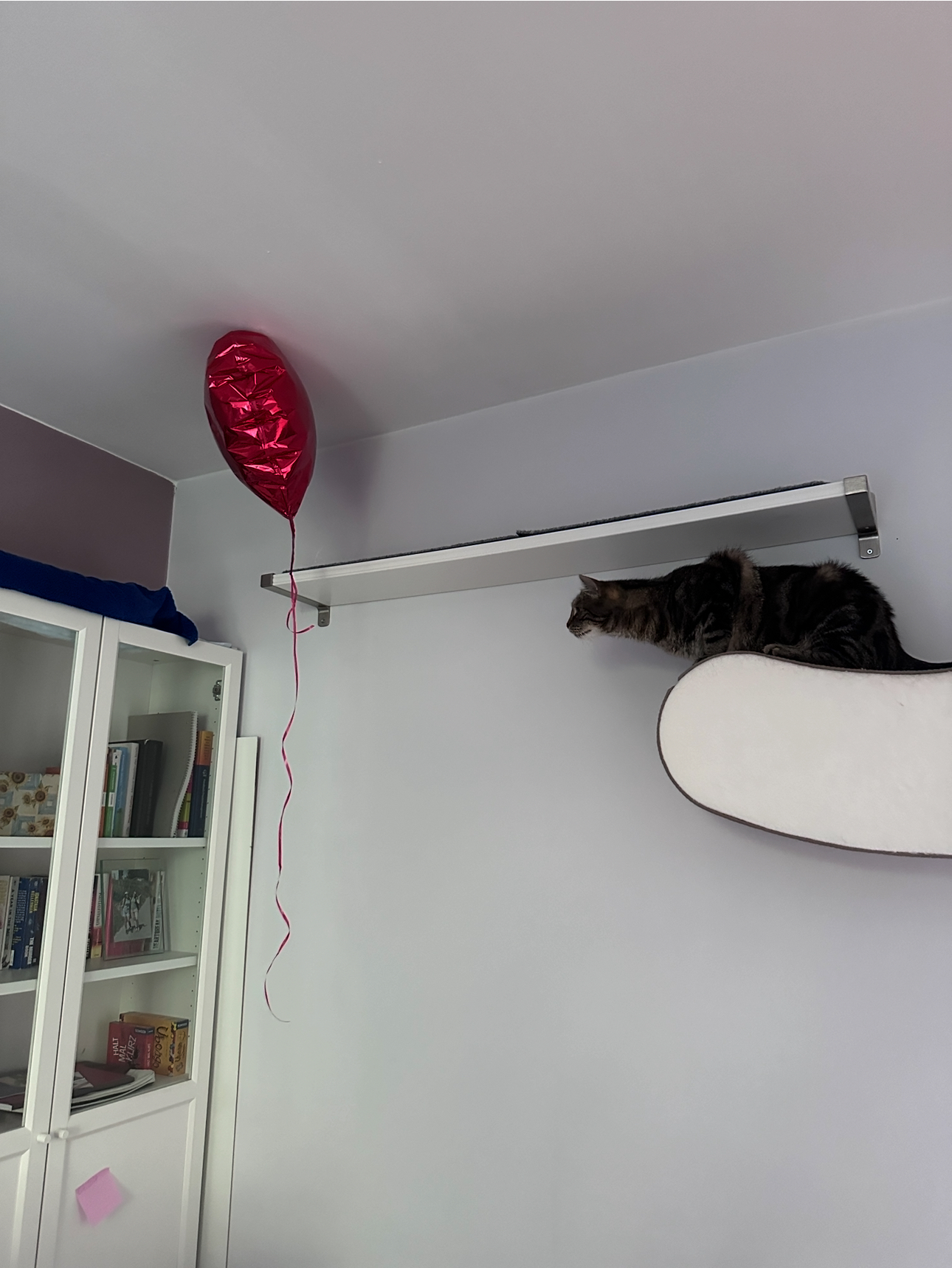 IMG_3550.jpeg