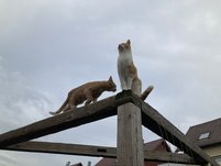 IMG_3640.JPG