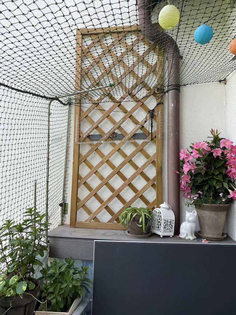 IMG_3646-resized.jpg