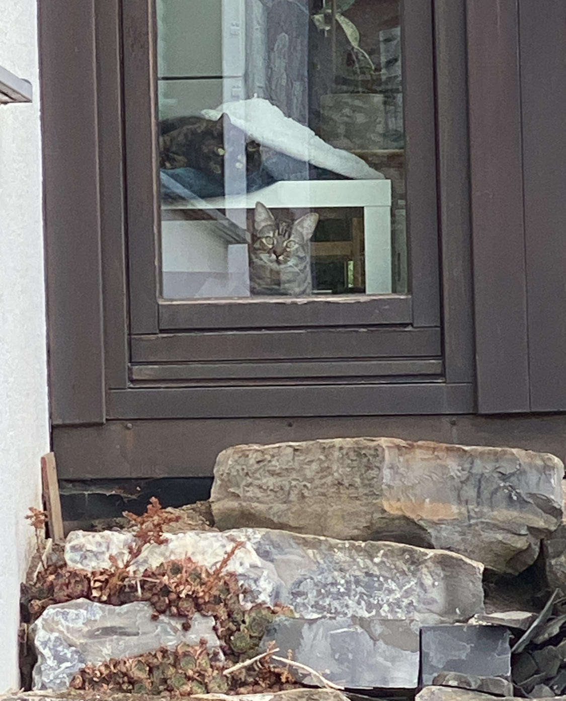 IMG_3660.jpeg