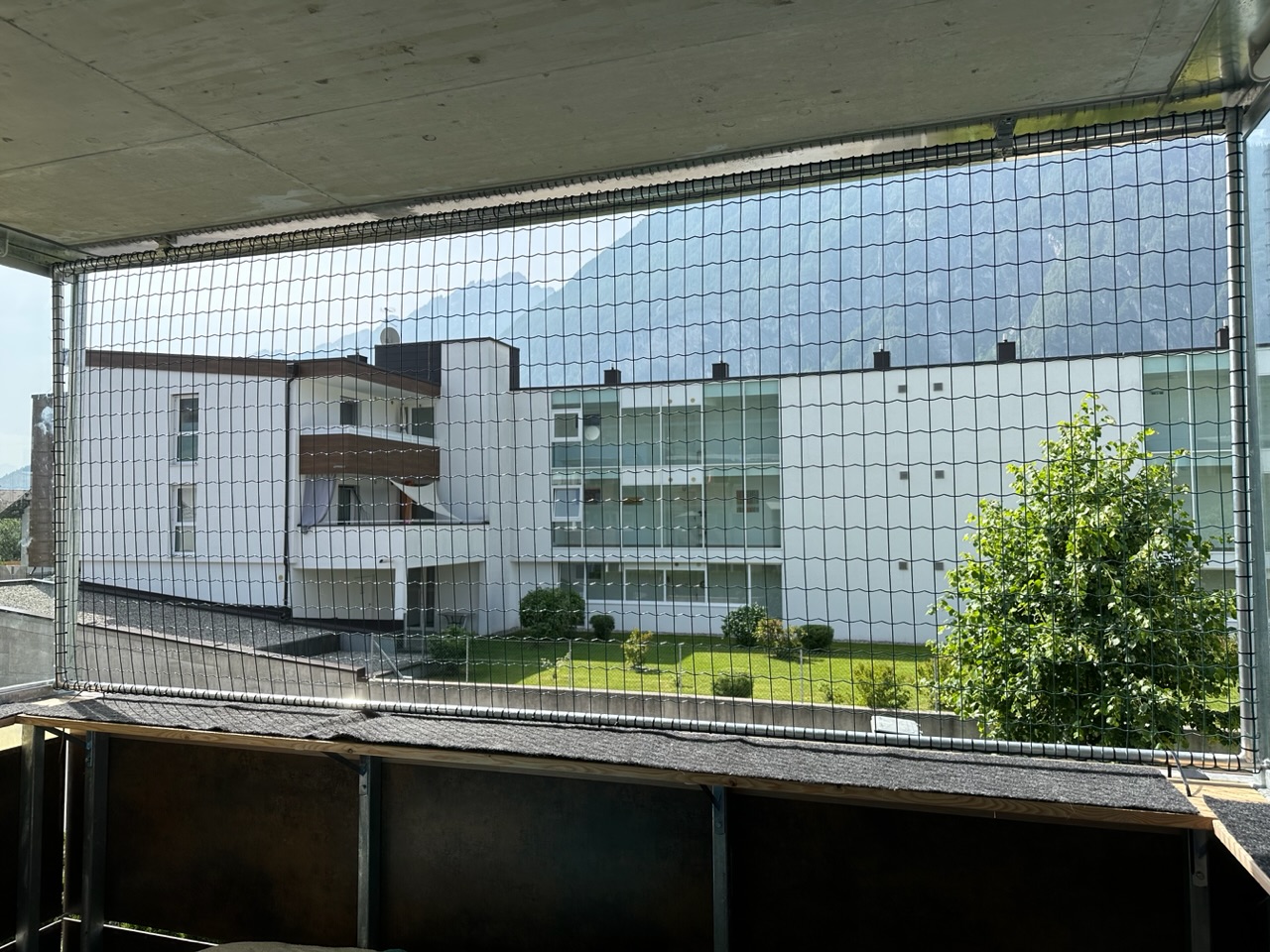 IMG_3745.jpeg