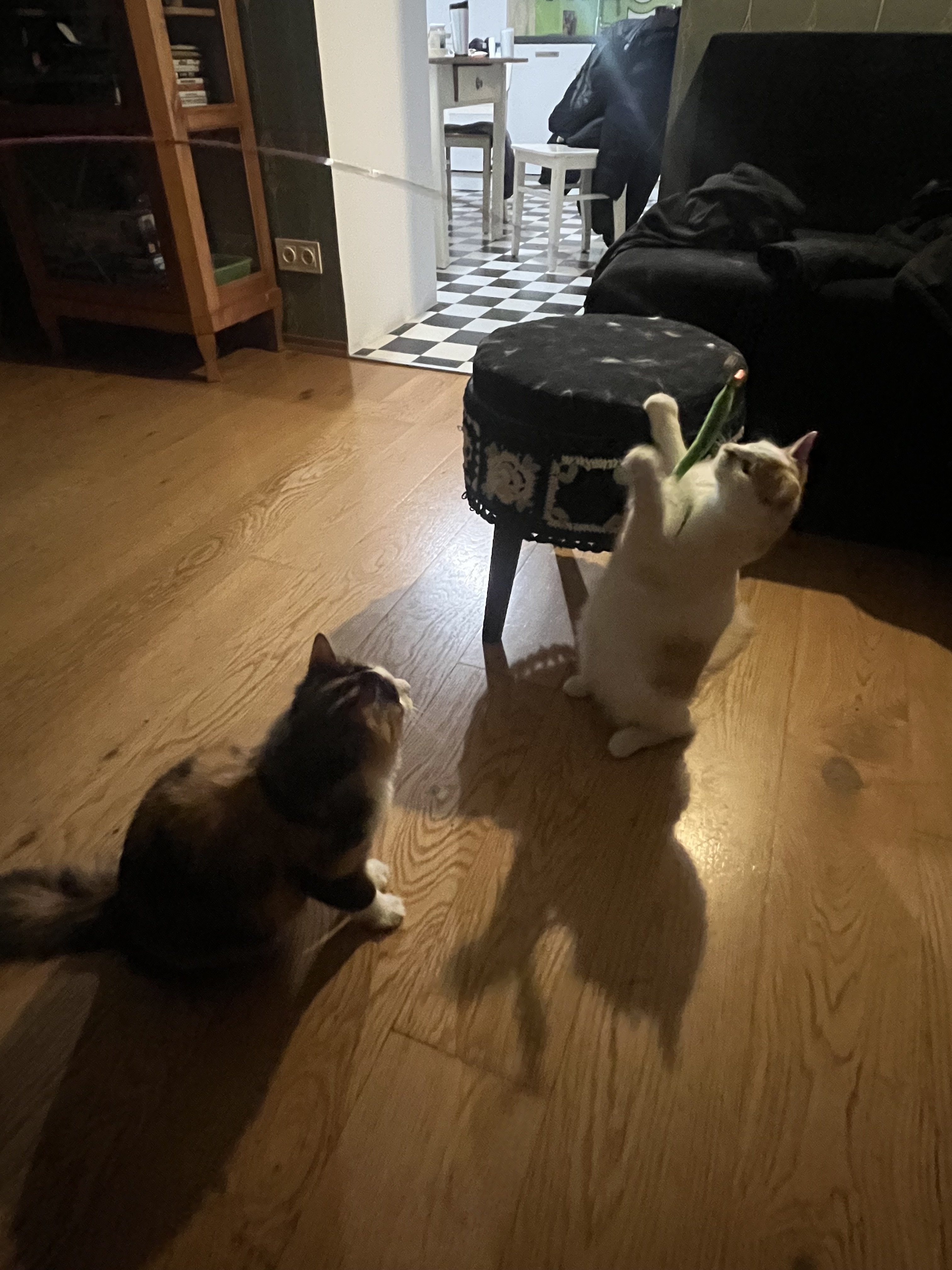 IMG_3948.jpeg