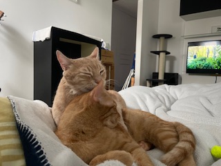 IMG_4301.jpeg