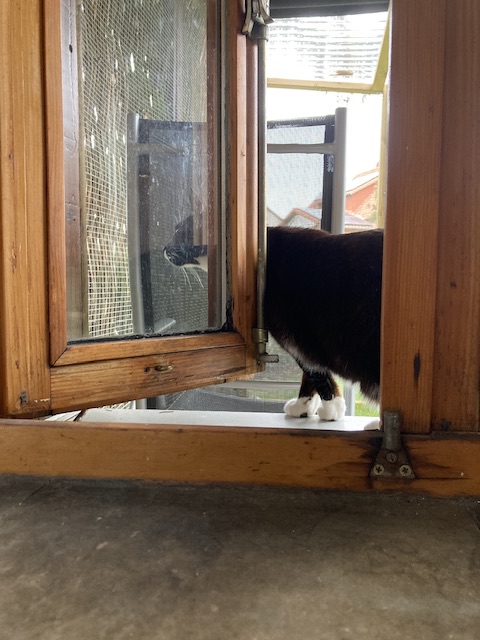 IMG_5049.jpeg