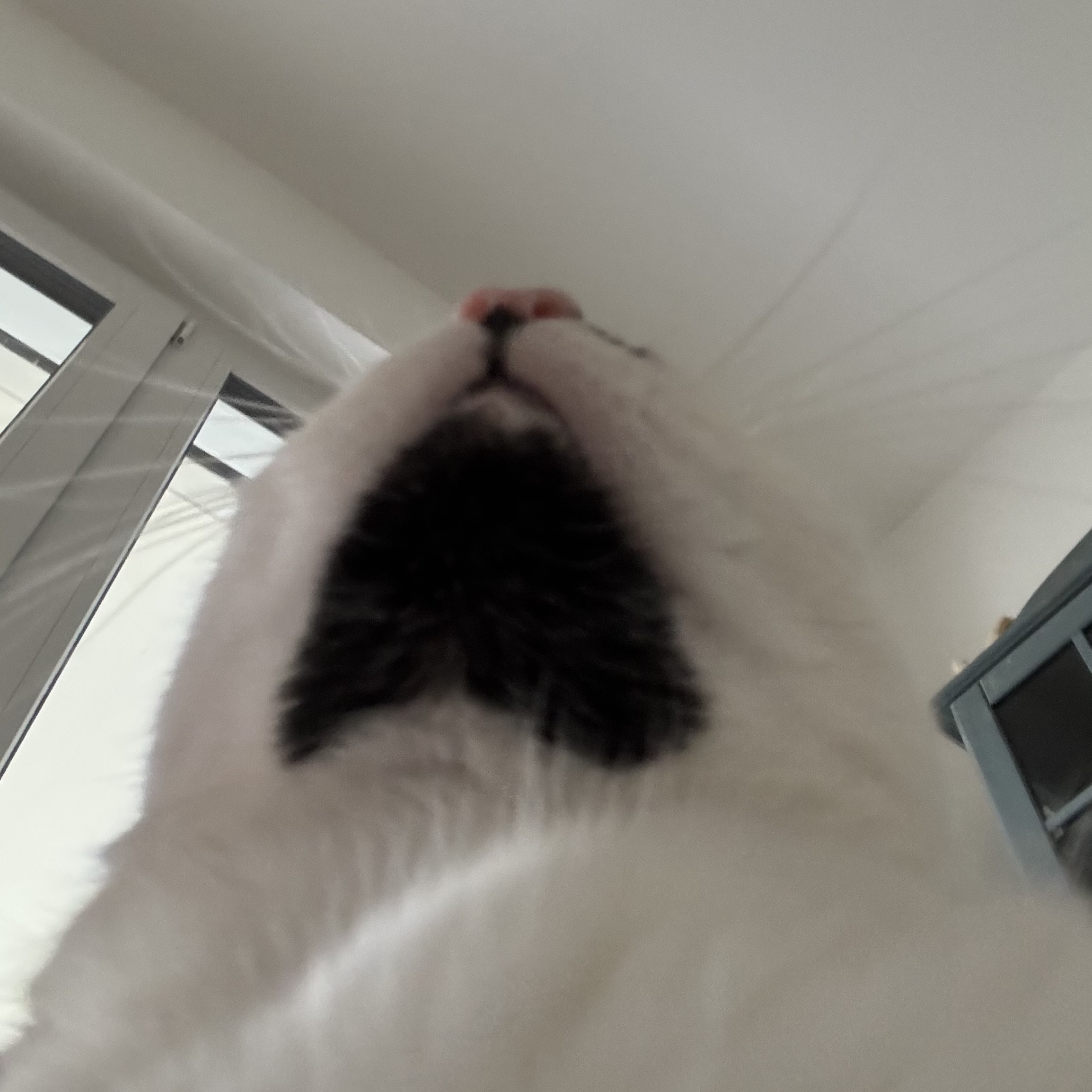 IMG_5122.jpeg