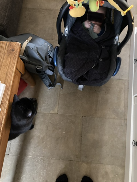 IMG_5254.jpeg