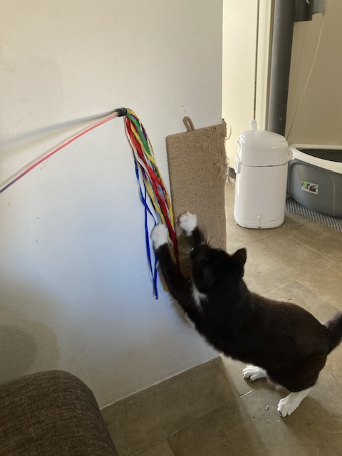 IMG_5309.jpeg
