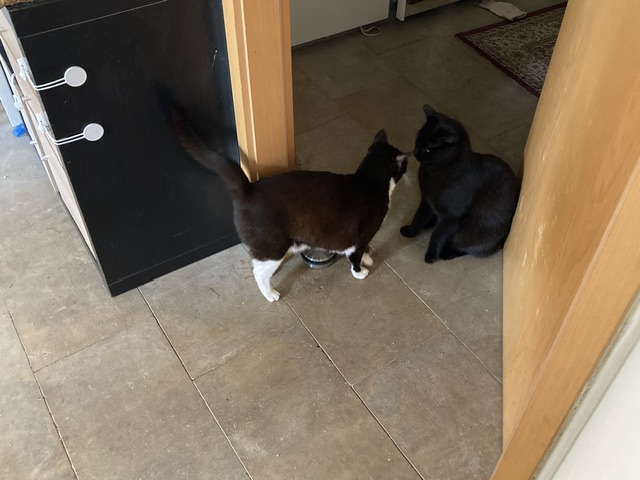 IMG_5317.jpeg
