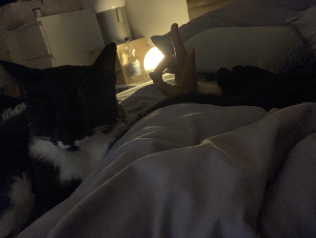 IMG_5472.jpeg