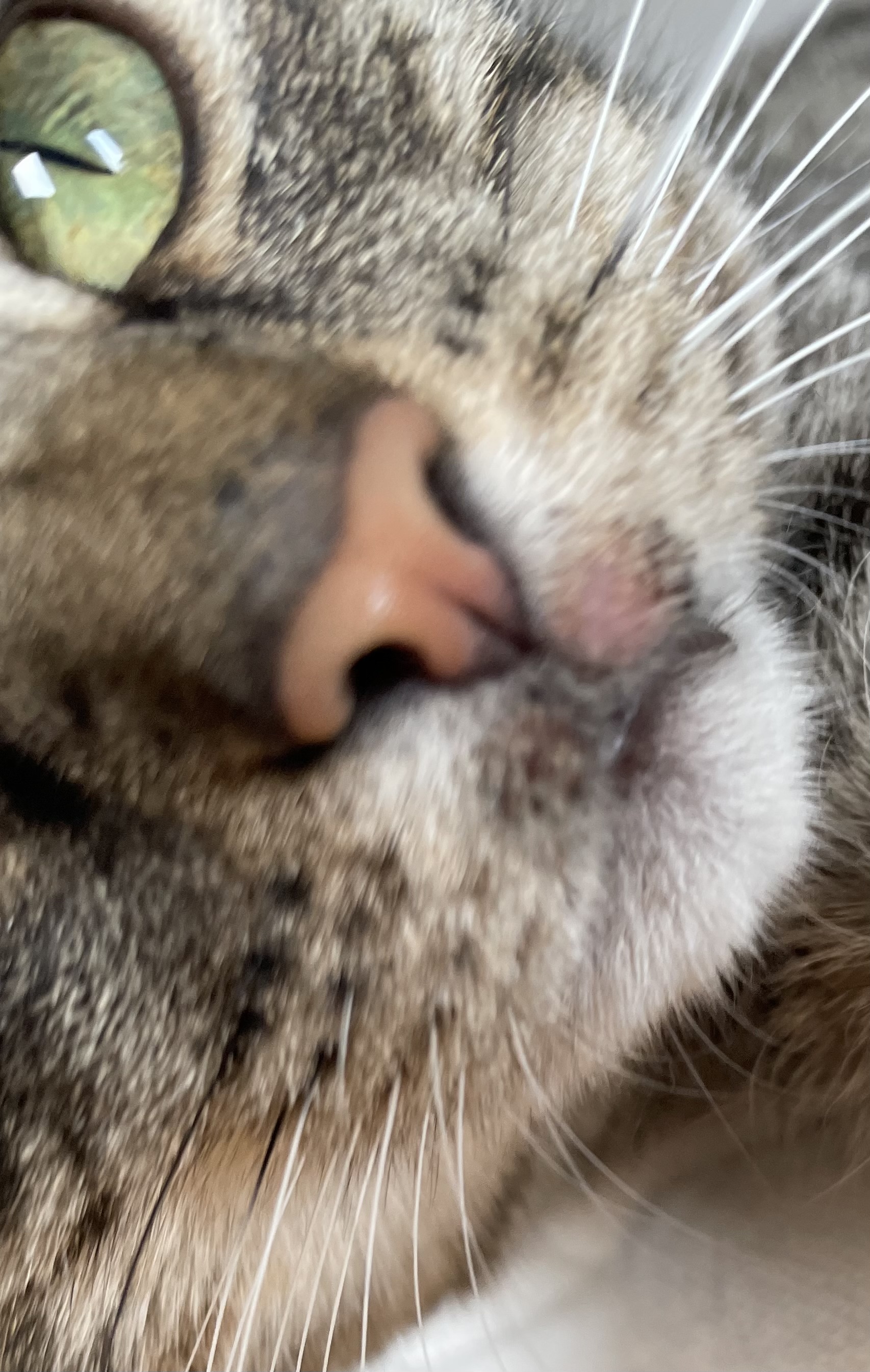 IMG_5855.jpeg