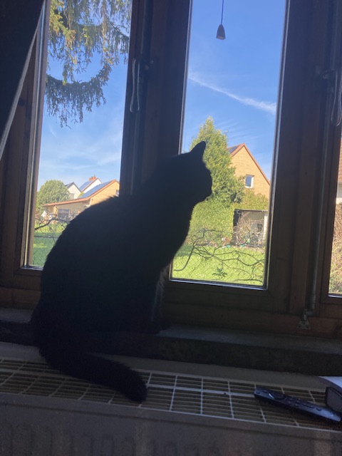 IMG_6029.jpeg