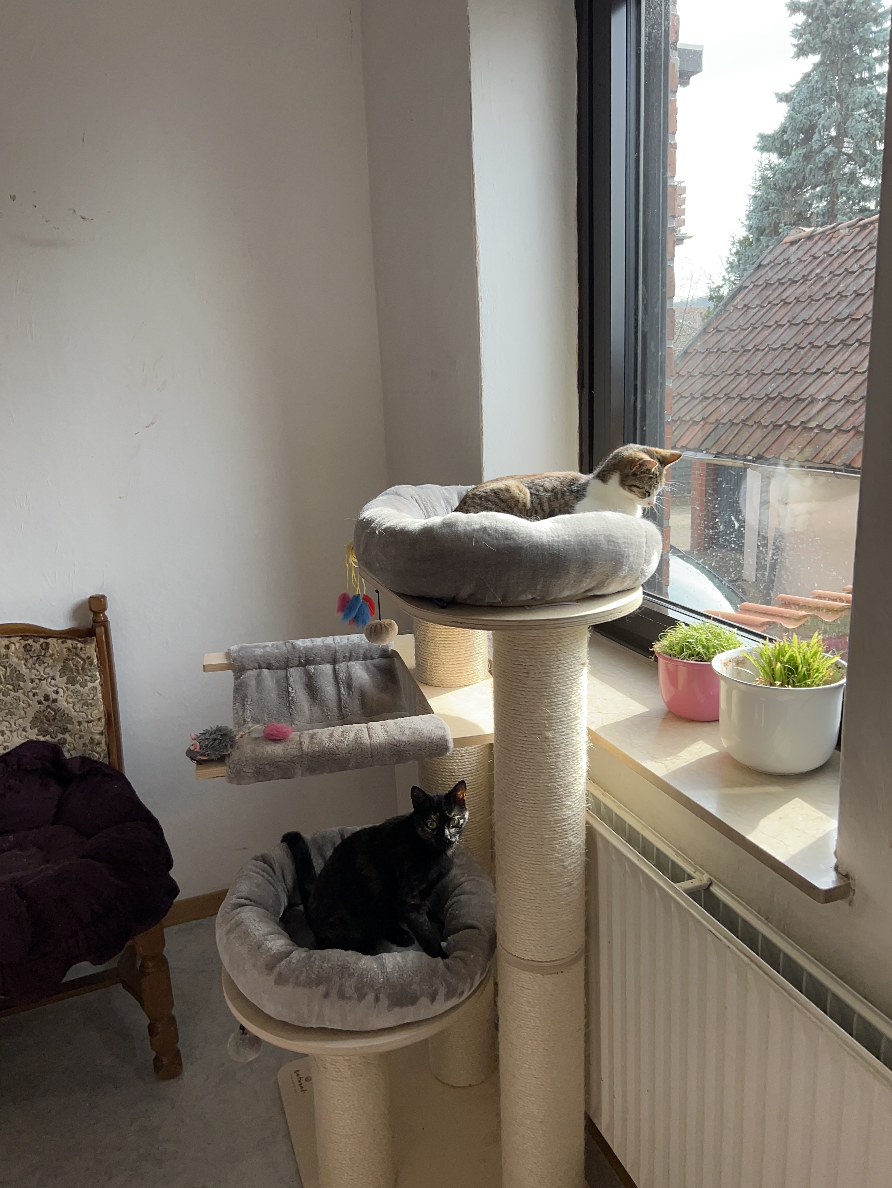 IMG_6128.jpeg