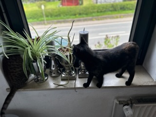 IMG_6160.jpeg