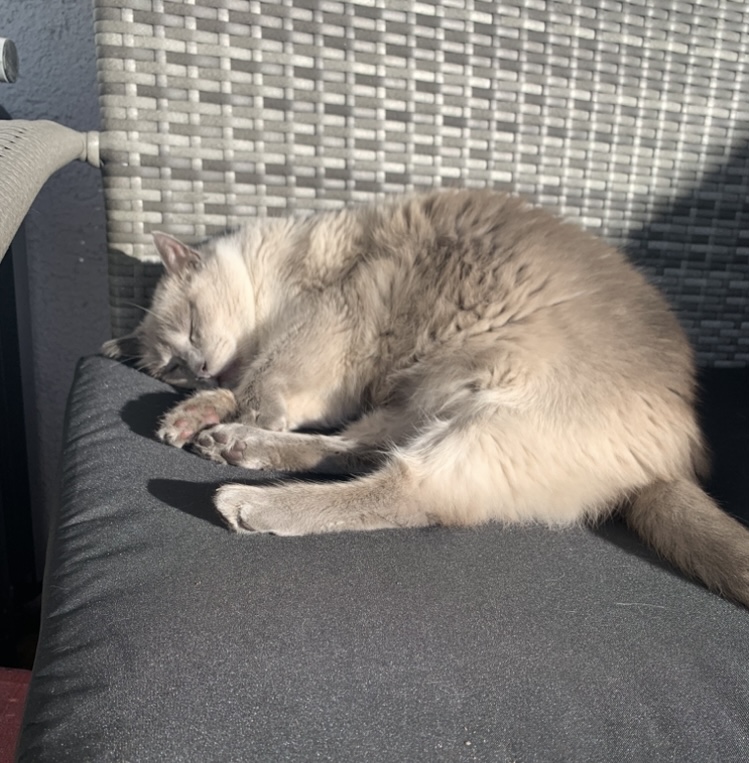 IMG_6197.jpeg