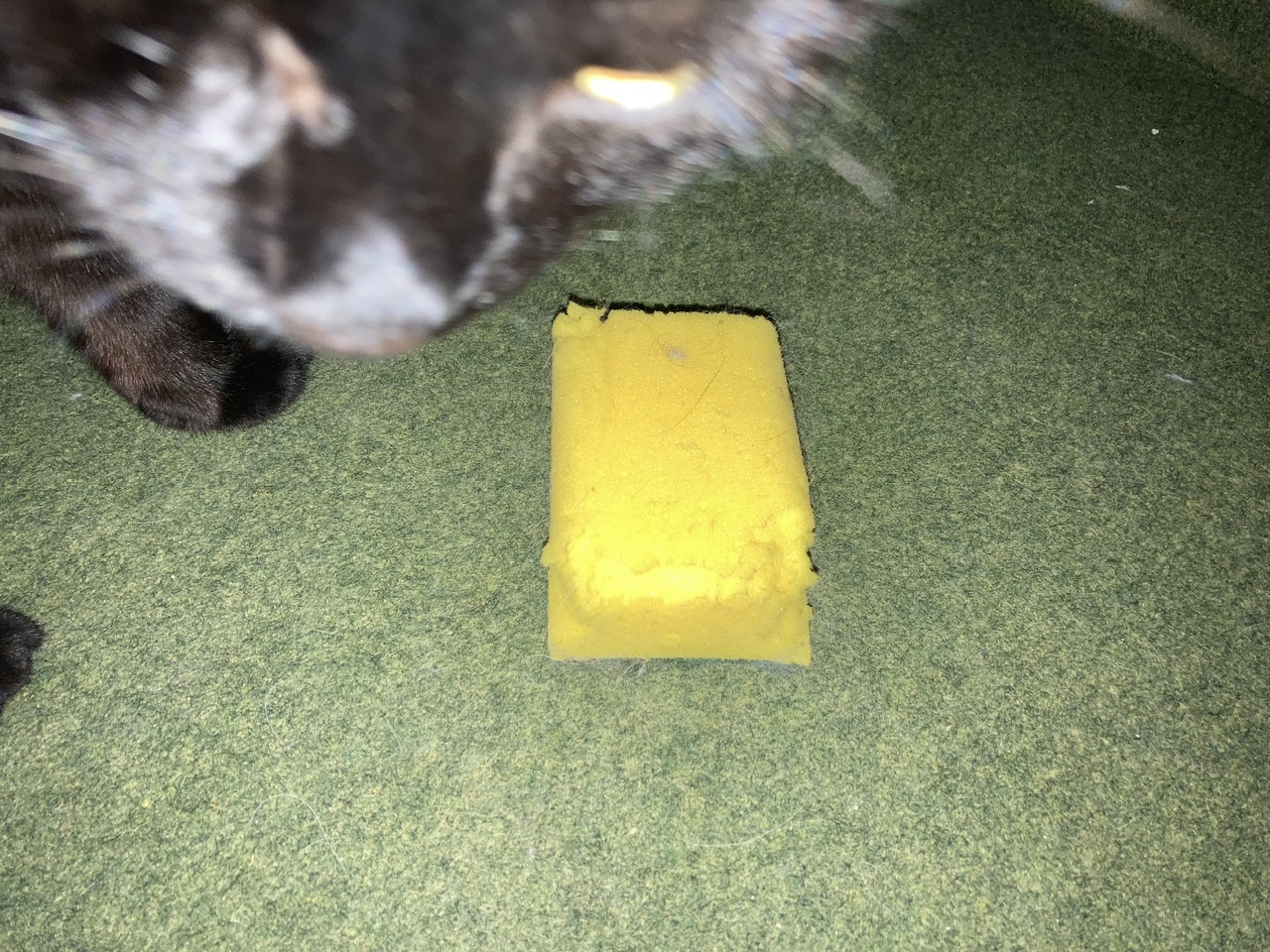 IMG_6321.jpeg