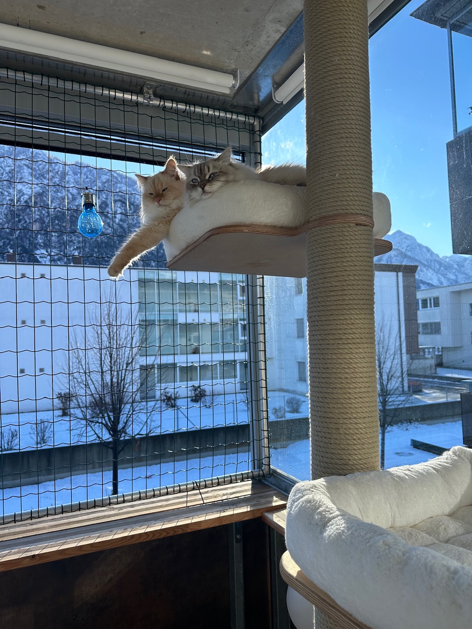 IMG_6383.jpeg