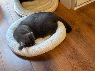 IMG_6828.jpeg