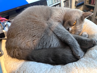 IMG_6830.jpeg