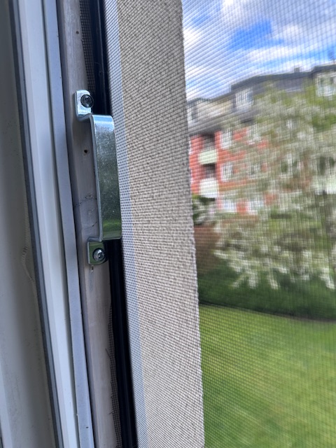 IMG_7103.jpeg
