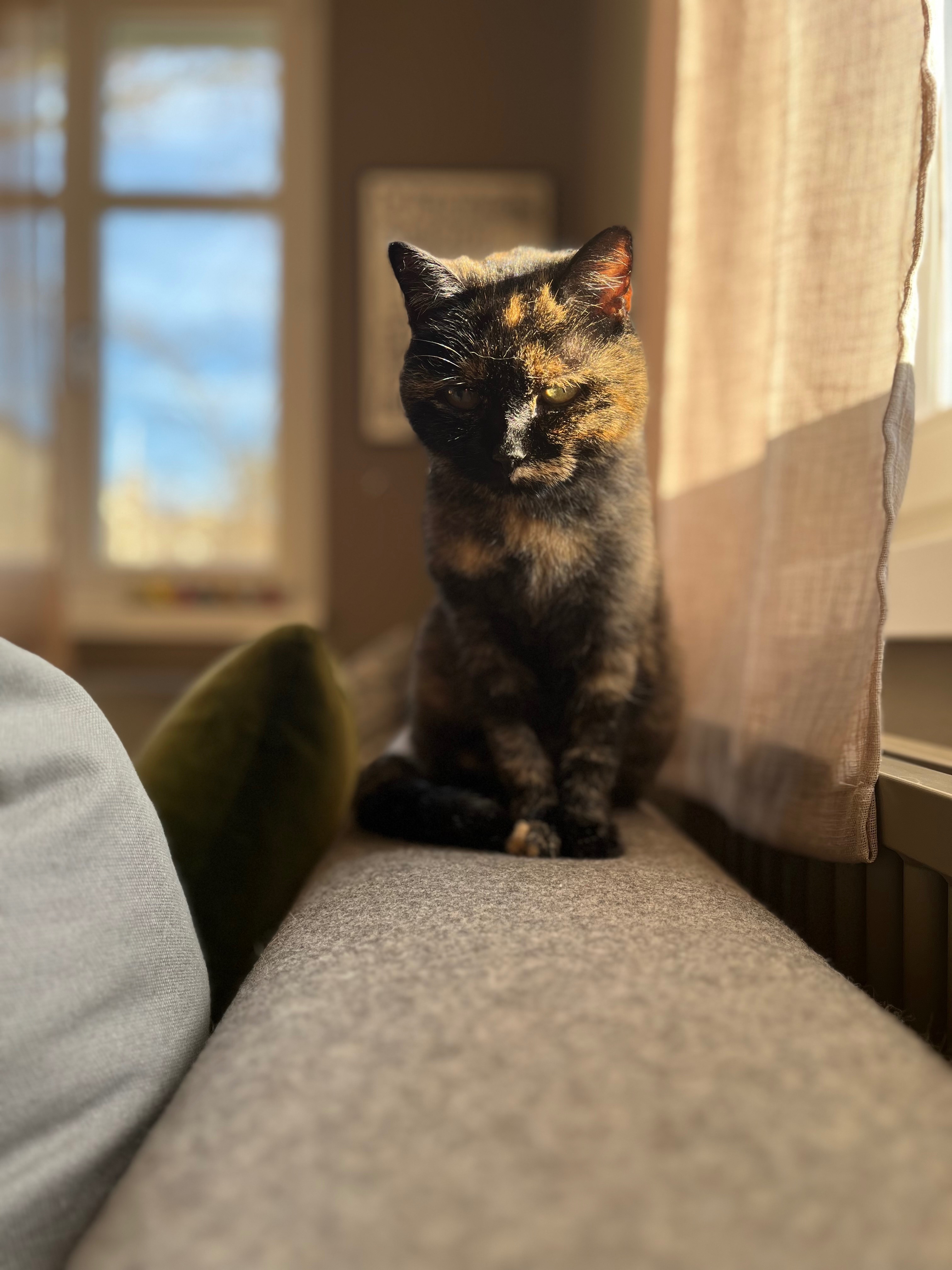 IMG_7306.jpeg