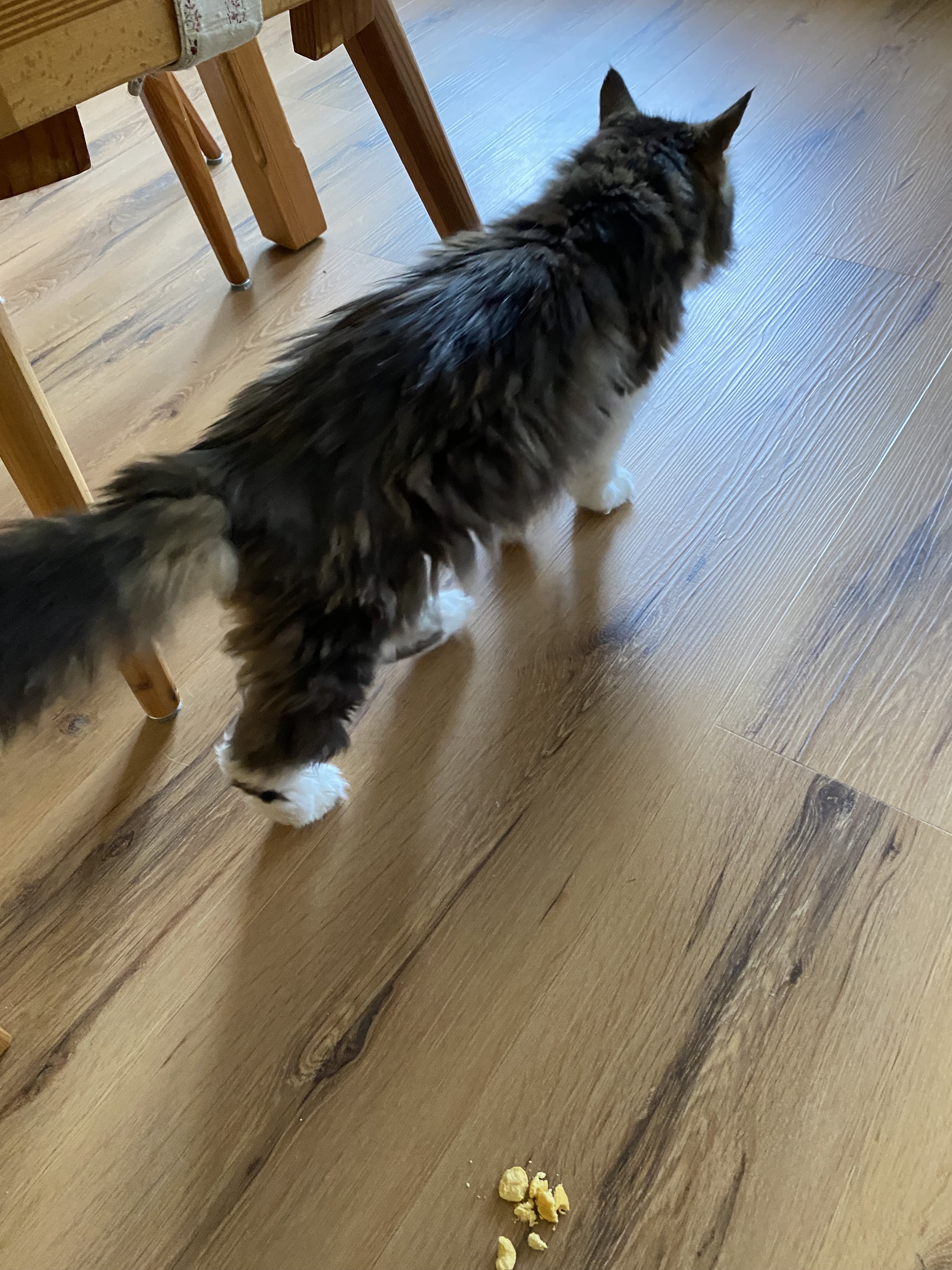 IMG_7340.jpeg