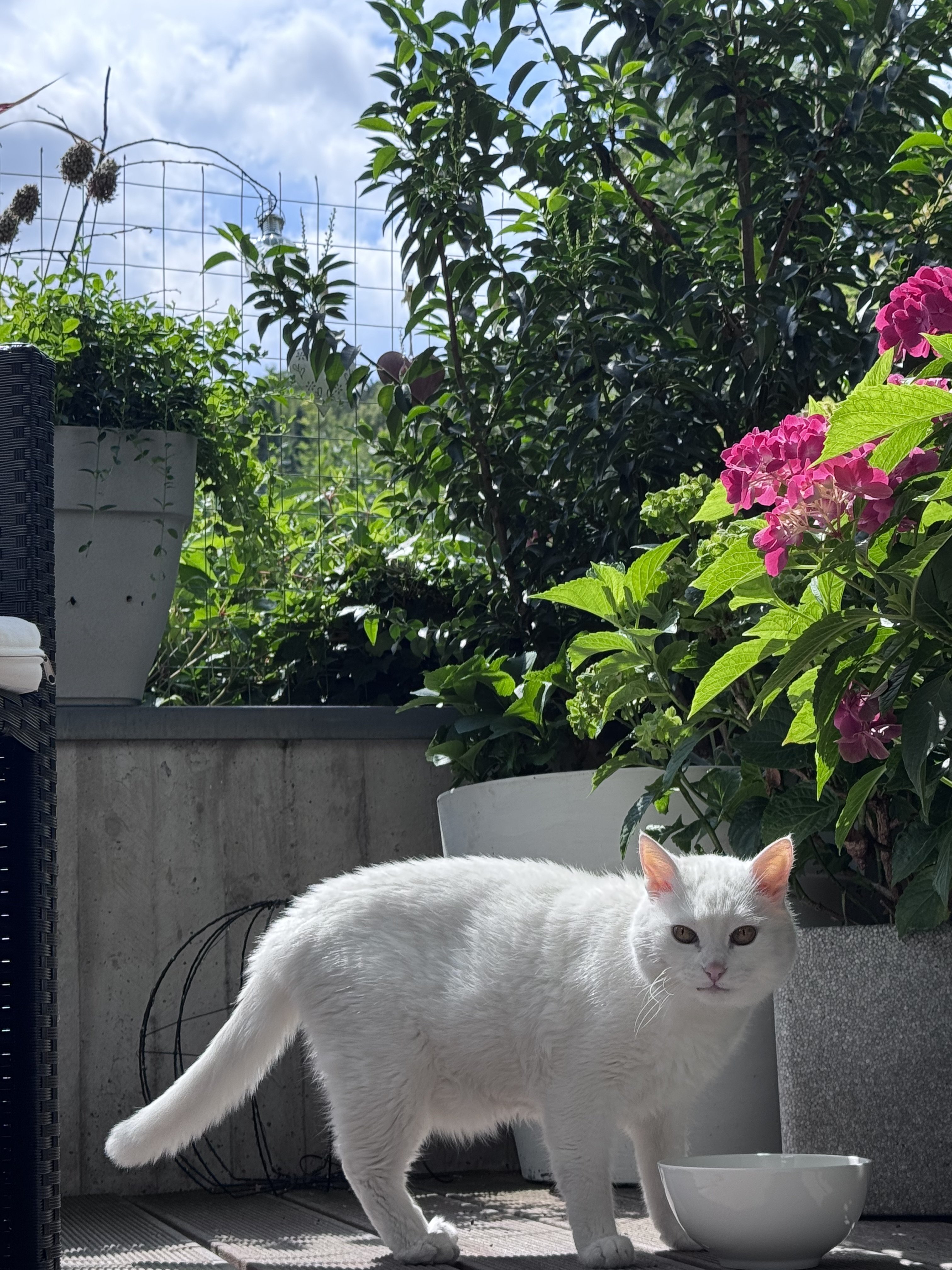 IMG_7480.jpeg