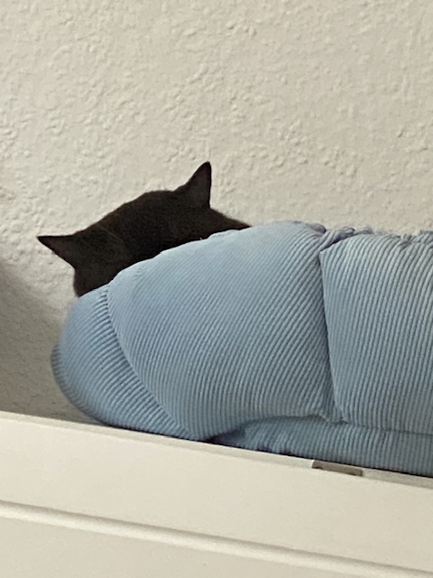 IMG_9054.jpeg