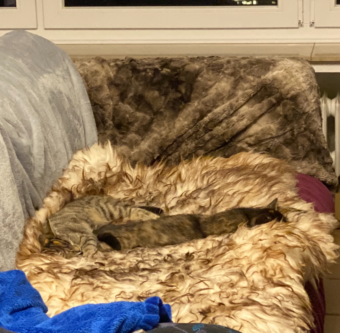 IMG_9654.jpeg