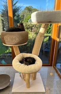 IMG_9700.jpeg