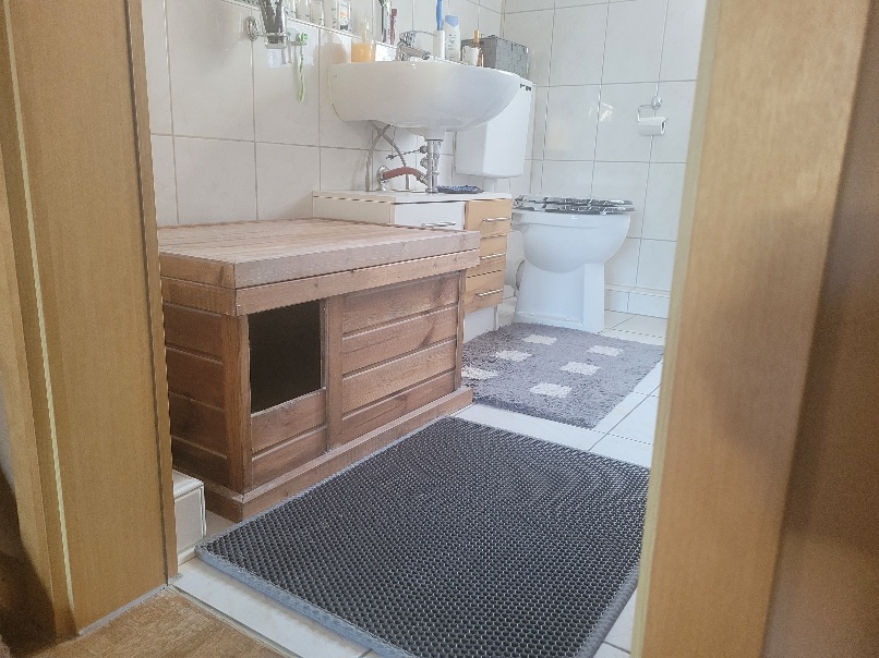 Katzenklo1.jpg