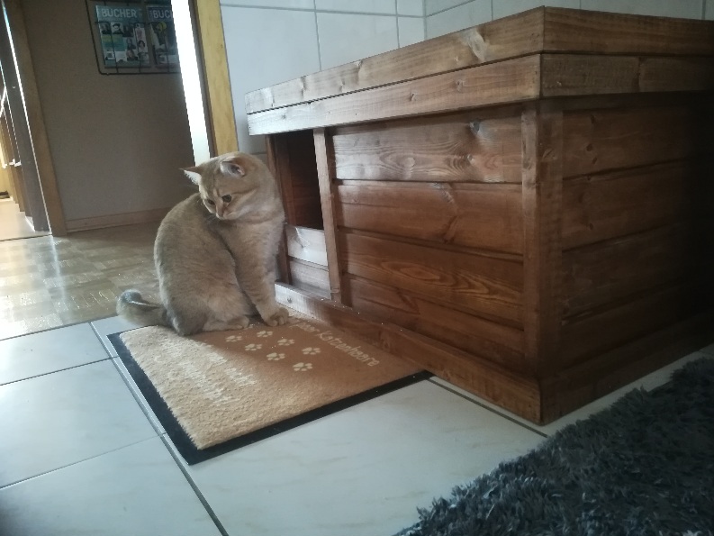 Katzenklo2.jpg