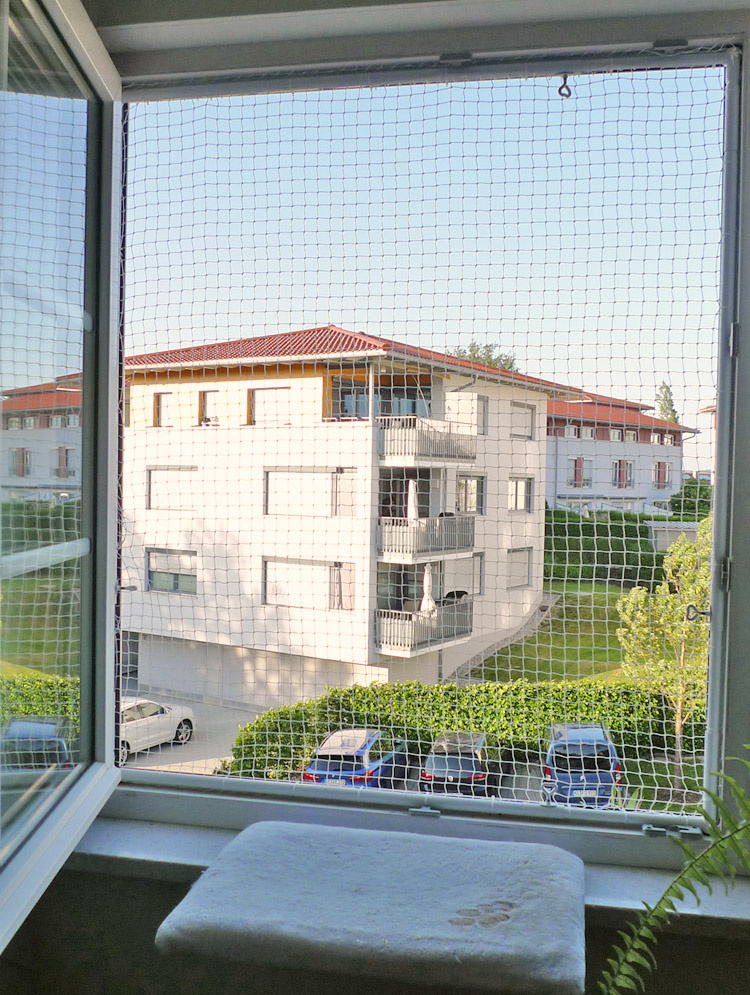 Katzennetz-Fenster_2019-Juni.jpg