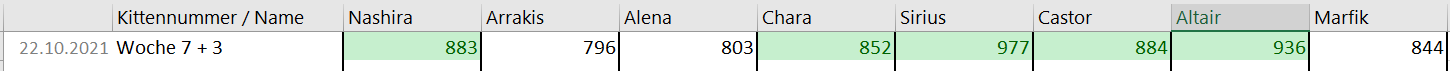 KiGe.PNG