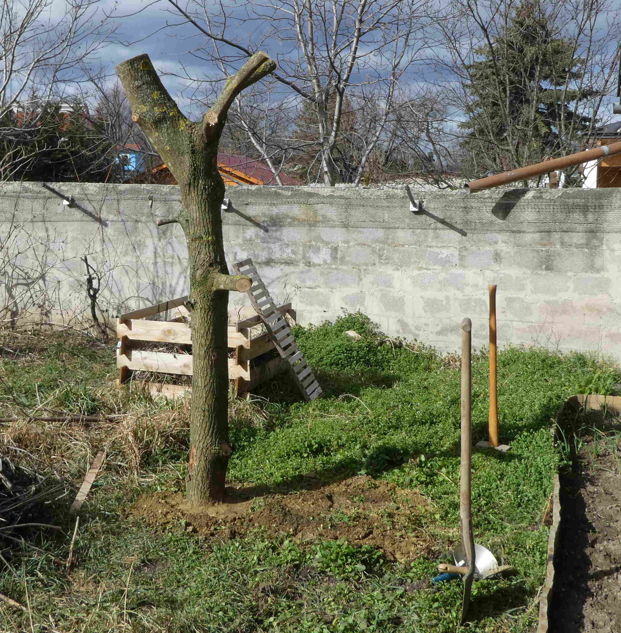 Kratzbaum_ohne.JPG