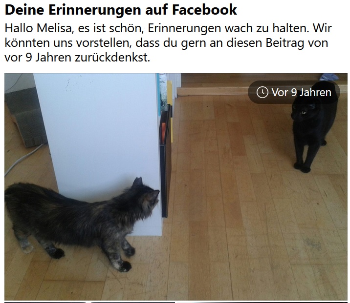 Lenz und Doktor lernen sich kennen.jpg