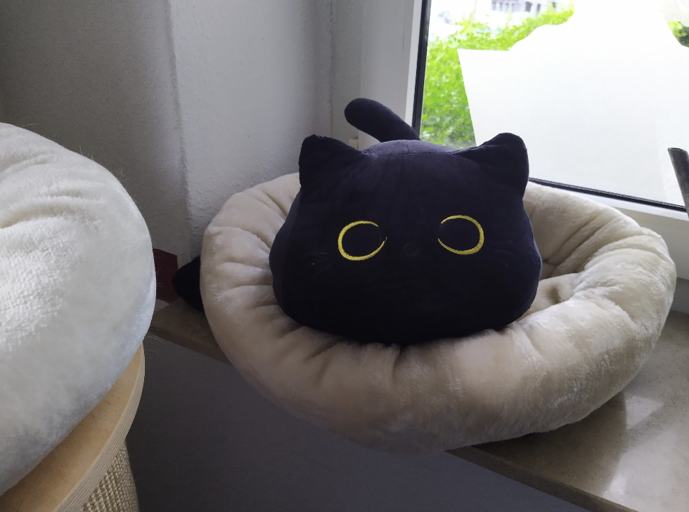 LottiErsatz.png