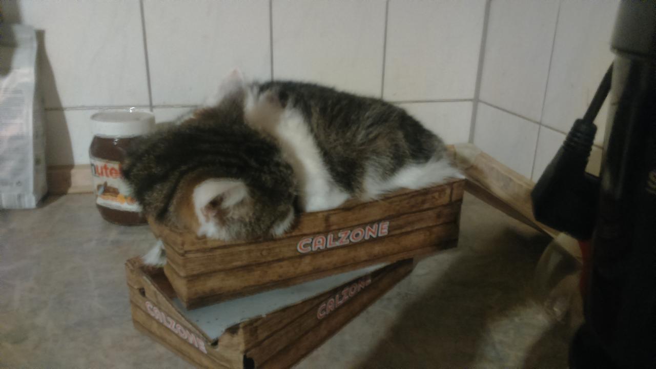 mausi_pizza.JPG
