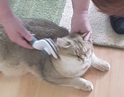 mimi 2.jpg