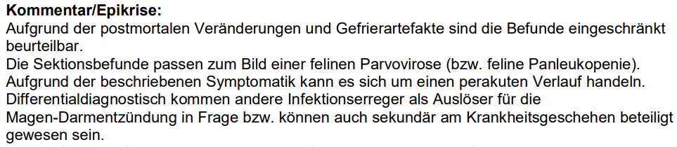 Mohrle.PNG