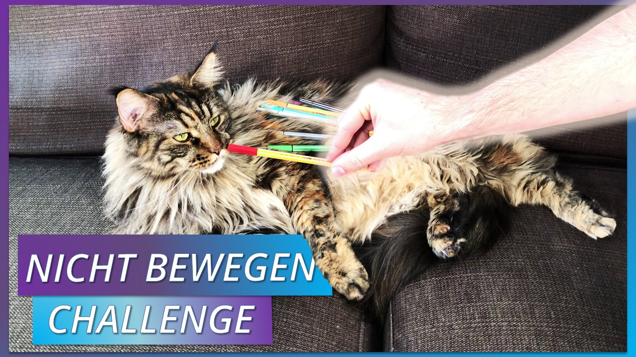 NICHT BEWEGEN.jpg