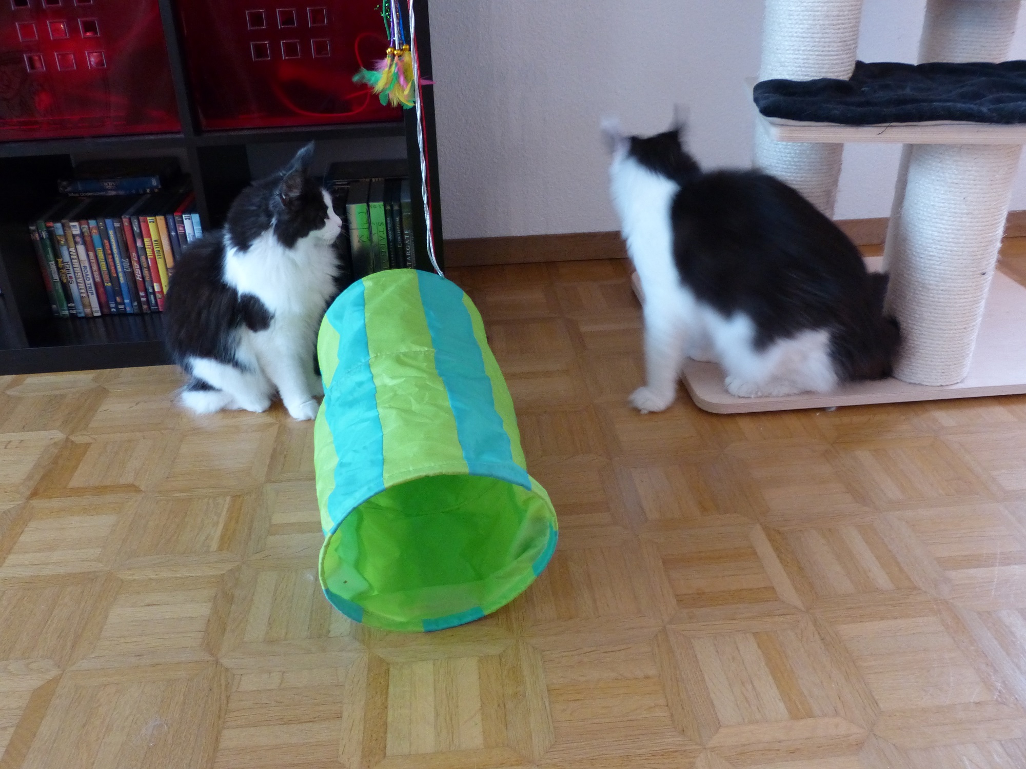 P1060691.JPG