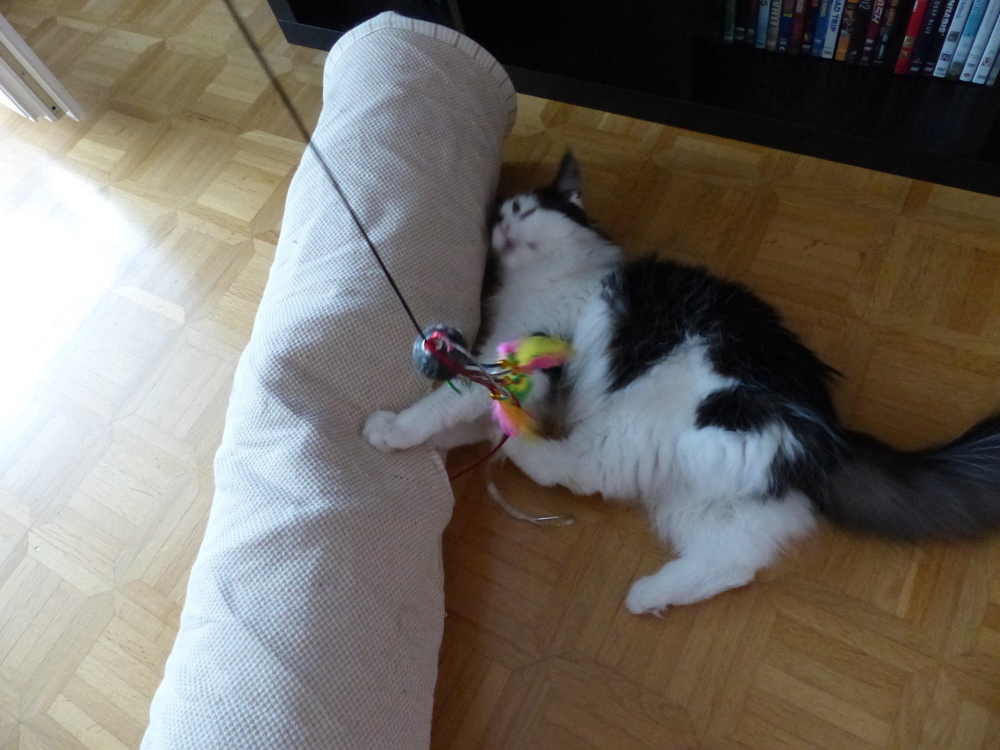 P1070065.JPG