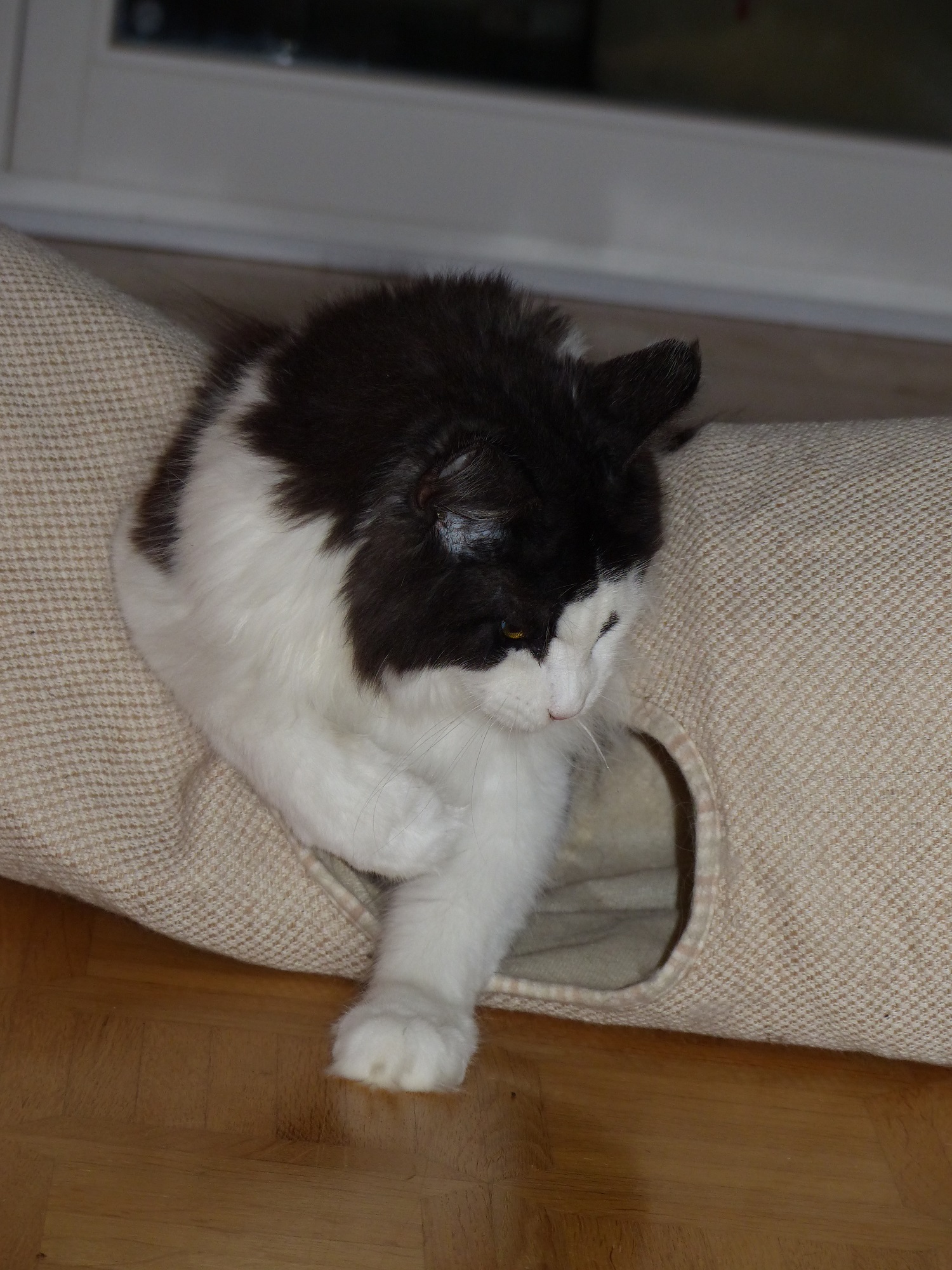 P1080064.JPG