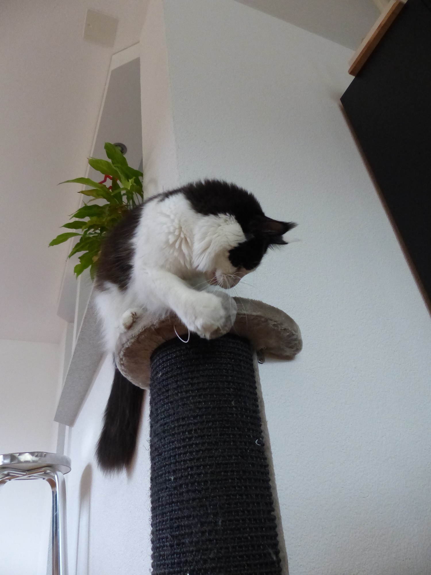 P1080070.JPG