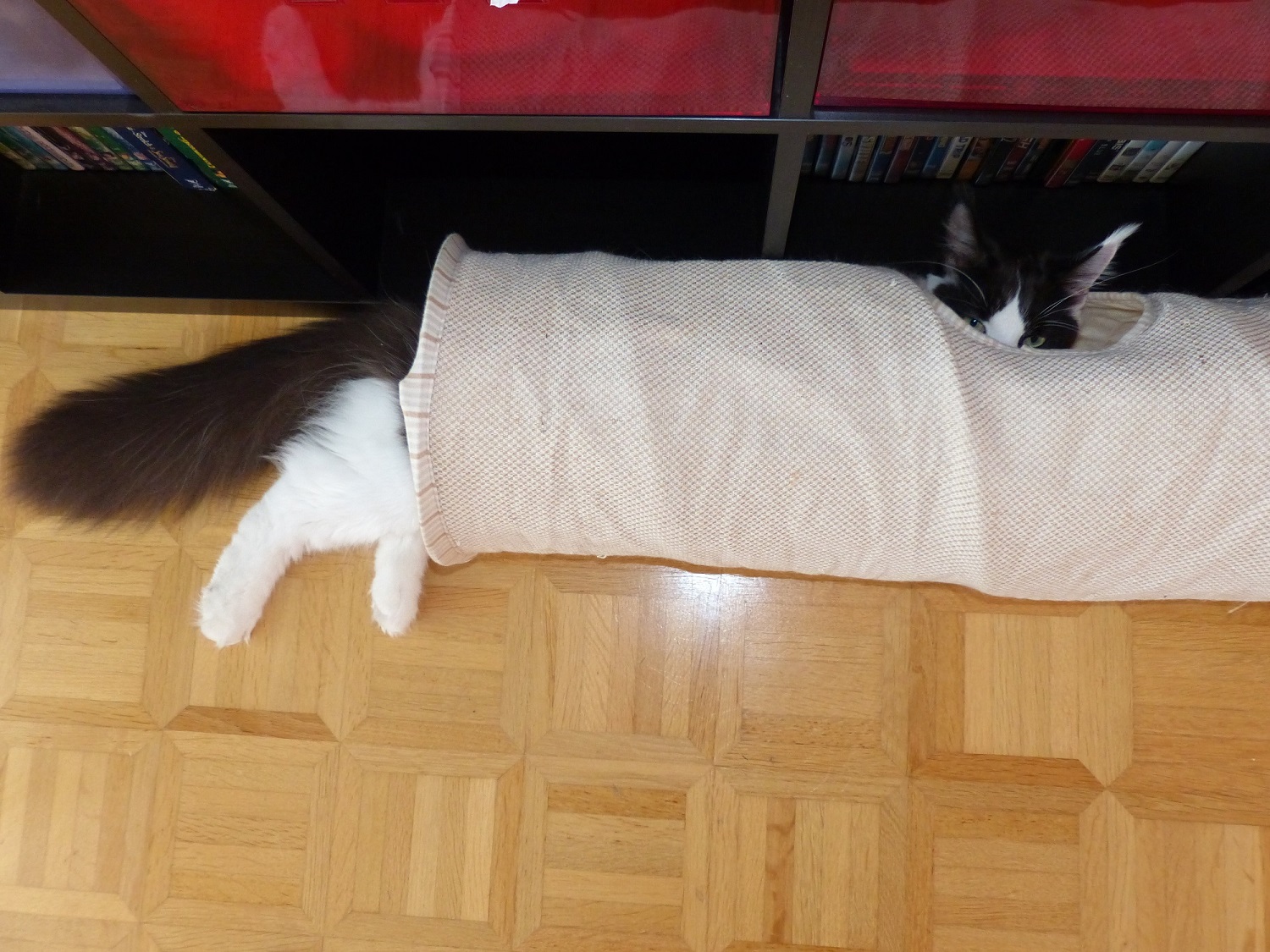 P1080099.JPG