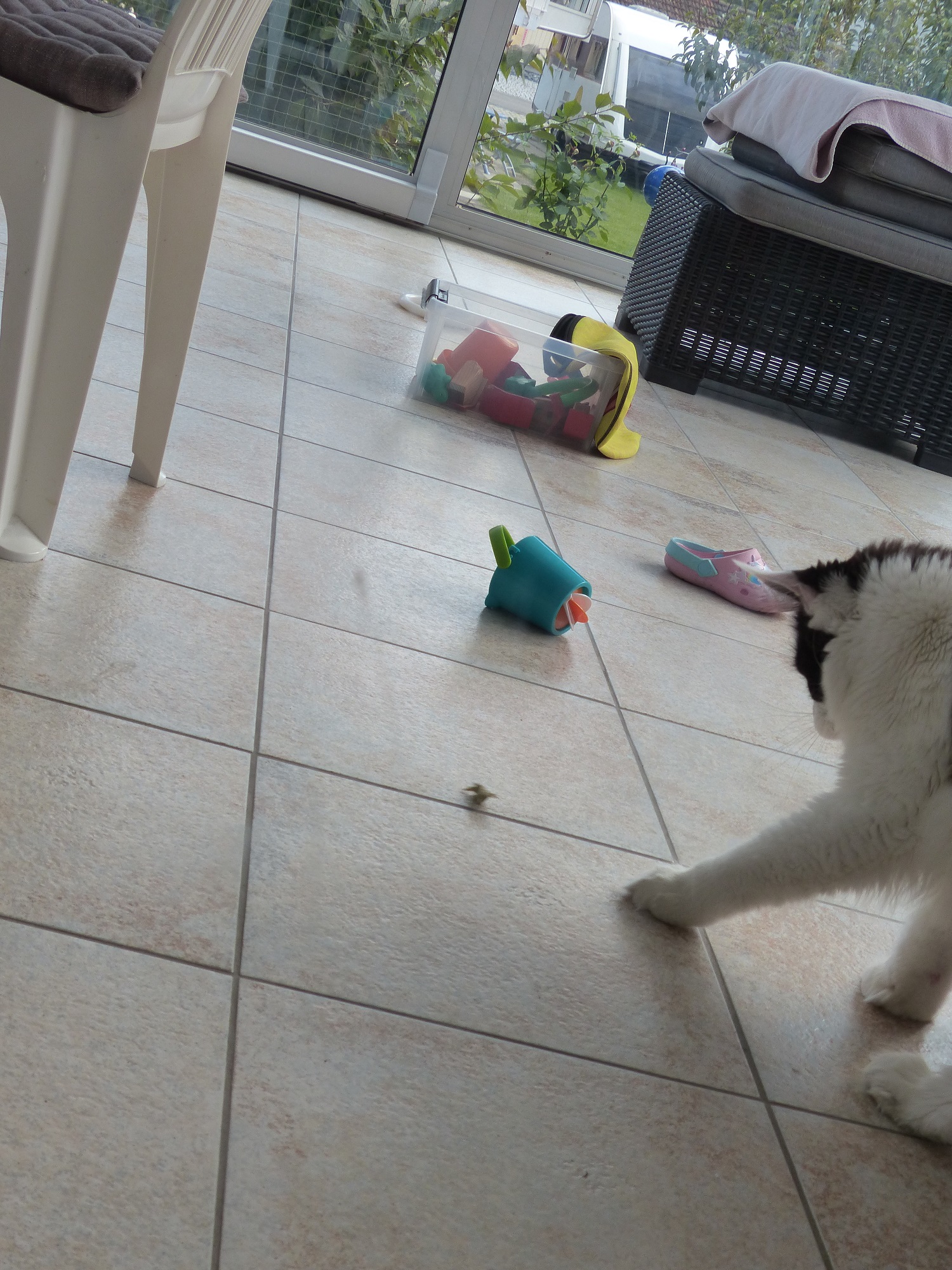 P1080143.JPG