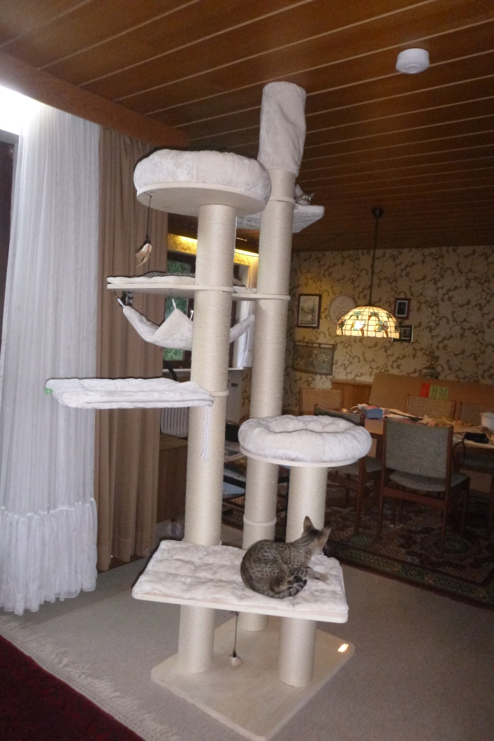 P1090944a.jpg