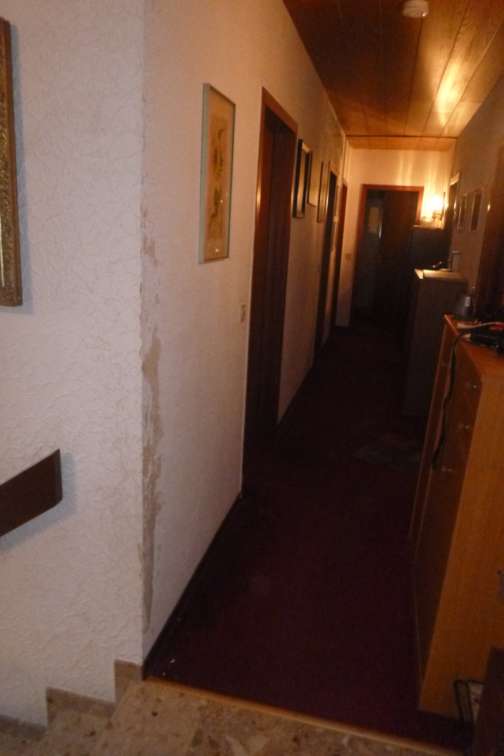 P1100009a.jpg
