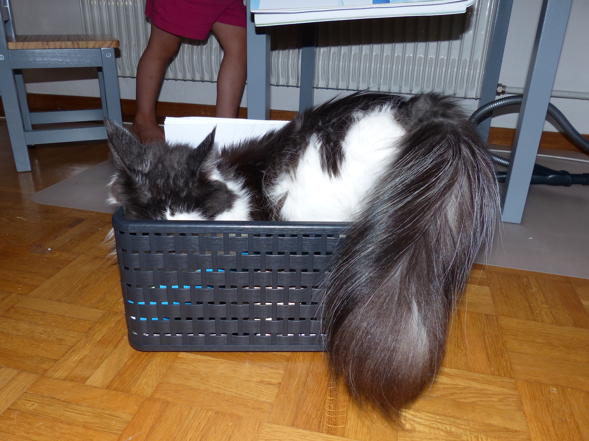 P1100573.JPG
