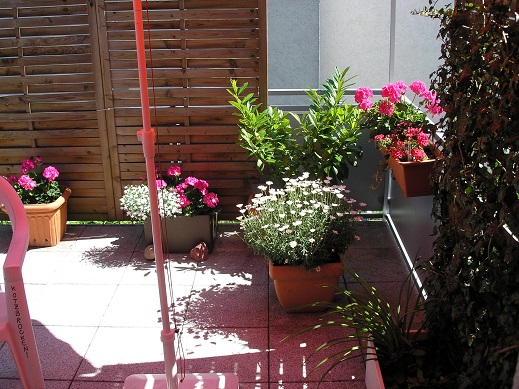 P7020187 - Kopie.jpg